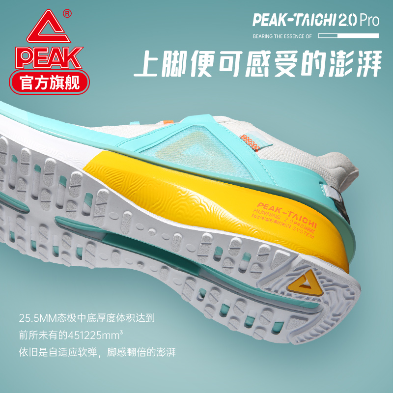 匹克官方旗舰店匹克态极2.0pro跑步鞋透气夏季织面加厚态极中底运动鞋0