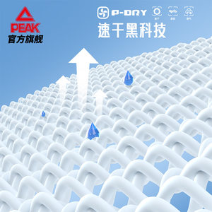 匹克针织套装男速干夏季新款官方休闲上衣短袖短裤跑步健身运动服