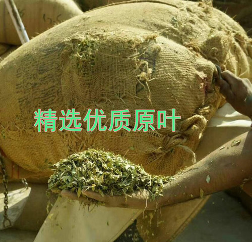 天竺草海娜粉天然植物粉纯植物印度正品晨曦植物粉染发粉遮盖白发 - 图0