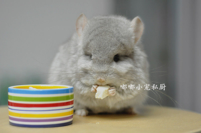 买4送1 自制去皮柚子馕干 兔子仓鼠维生素预防龙猫咬毛（20克）,淘宝优惠券,粉丝福利购,淘宝优惠卷