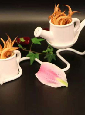 生态园艺器皿桌面装饰新品上市