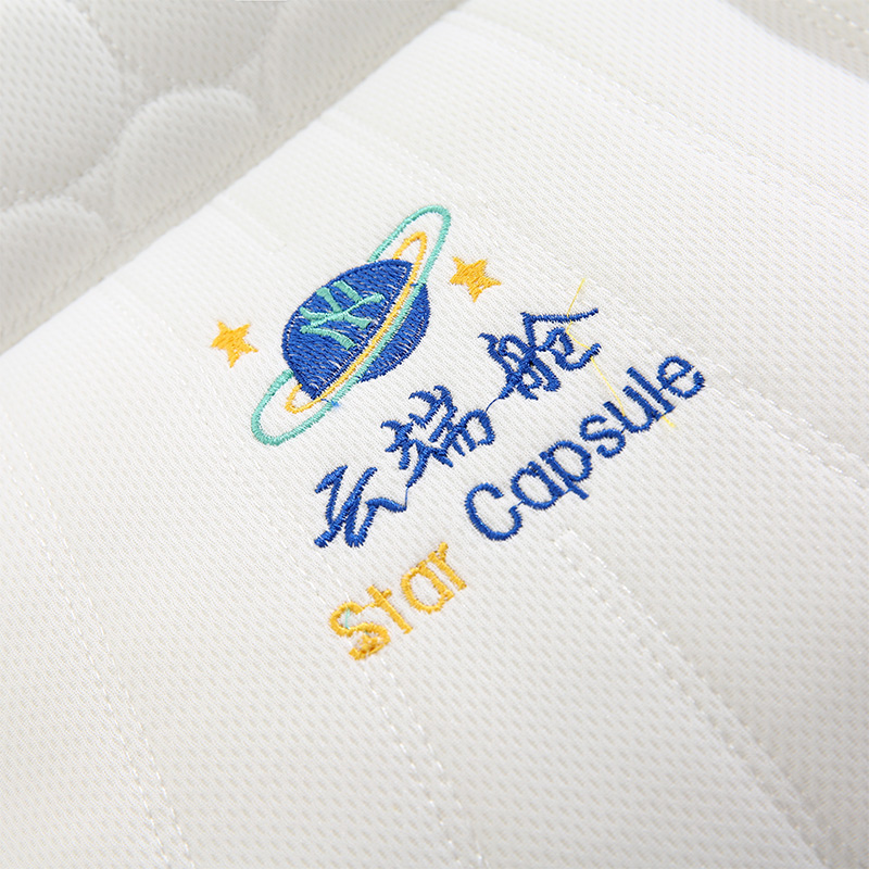 2024年秋季新款太空舱分区护颈乳胶枕芯一对装家用枕头单人一只装
