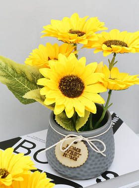 店铺办公室展柜装饰仿真盆栽小摆件绿植假花植物客厅仿真花卉