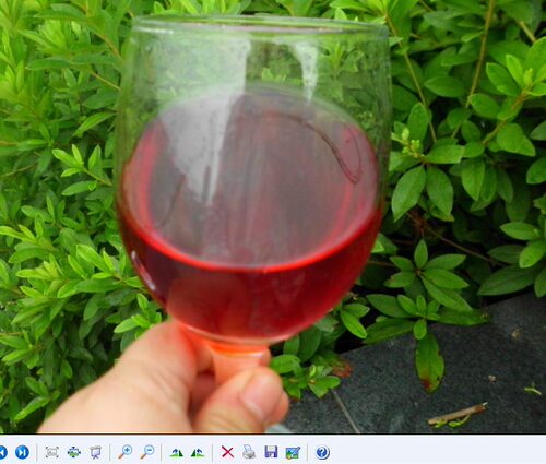 湖南靖州特产低度果酒  桃花酿桃花醉桃子酒女生爱喝 - 图2