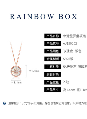 闪耀星芒优雅罗盘纯银项链新款女