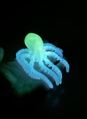 3D打印夜光章鱼玩具桌面摆件立体动物成品模型关节可动装饰品人偶