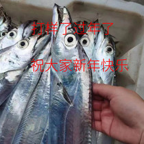 5 3 catty 5 bars (every 5-7 two) fresh Ningbo boat Shandong Sea fishing with fish fresh small eye seafood aquatic products