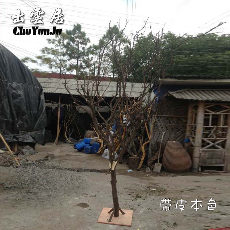 干树枝造景干枝树干许愿树枯树室内圣诞造型树枝干原木树枝装饰树_虎窝淘