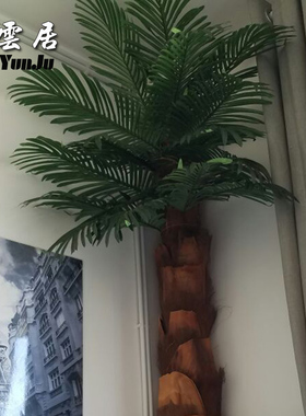 仿真龟背叶植物绿植散摄影道具