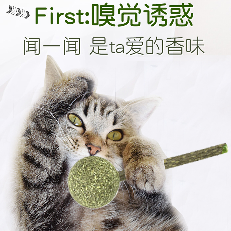 2支装猫薄荷棒棒糖木天蓼玲珑球磨牙棒猫咪用品逗猫小玩具自嗨 - 图1