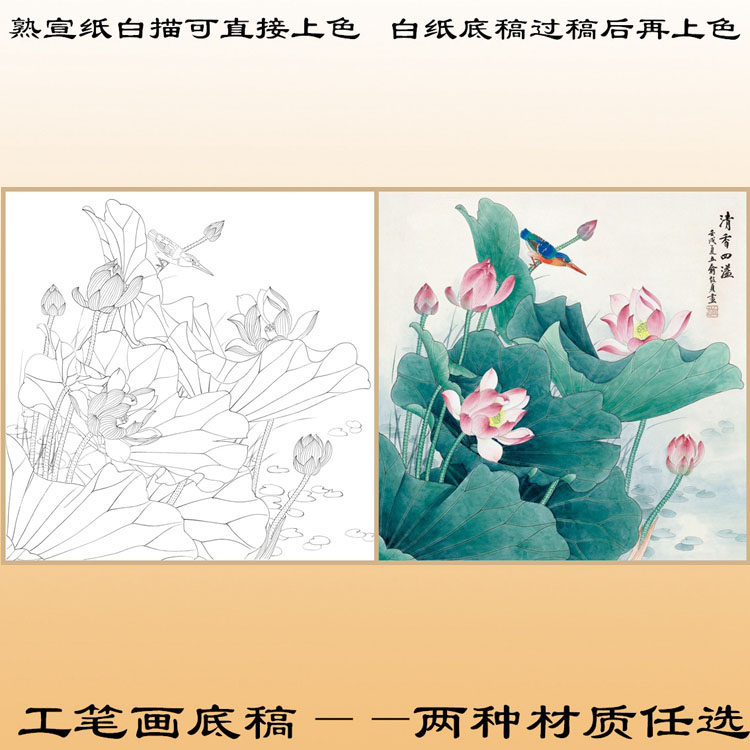 H136俞致贞荷花工笔画白纸底稿初学者过稿熟宣纸白描直接上色斗方 - 图1