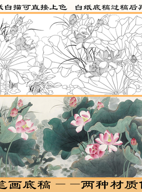 工笔画白描底稿俞致贞荷花熟宣纸