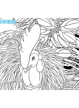 工笔画白描底稿斗方陆雨年荷花