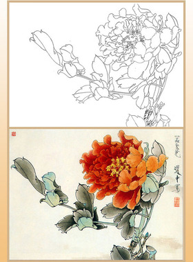 工笔画白描底稿上色牡丹宣纸画稿