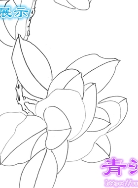 N184花鸟工笔画白描白纸底稿线描画茶花雪景周中耀斗方国画稿
