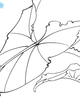 工笔画白描底稿上色茶花宣纸画稿