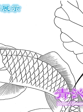 L21鲤鱼工笔画熟宣纸白描底稿线描画稿可直接上色横幅