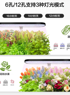 智能花盆室内无土水培绿植种植机