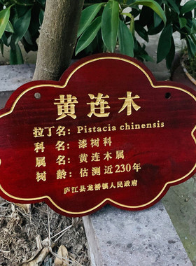 花草牌提示牌鲁神匠植物树木