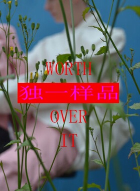 GLEE RAINBOW 独一样品微瑕丝巾特惠 SALE  3