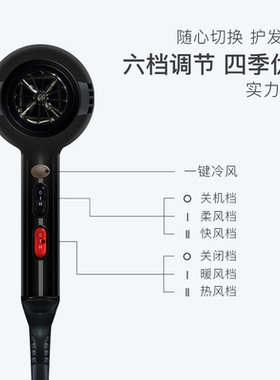 艾霸3688理发店美发廊黑色电吹风