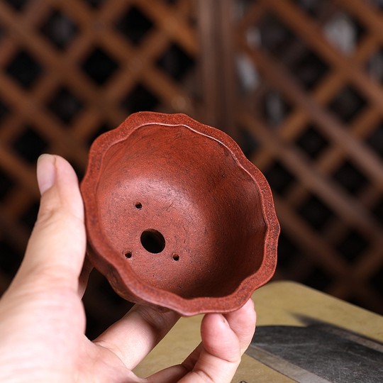 自在屋紫砂花盆微型P139#小莲花铁画轩复古中国风迷你可爱绿