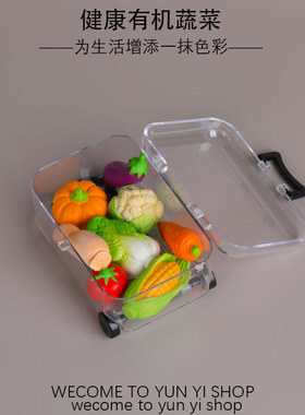 微景观创意真写实食玩蔬菜娃娃屋造景 diy装饰品配件微缩小摆件