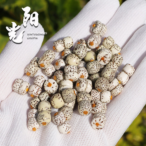 海南星月菩提老型直切药片原生态石玉料留白散珠文玩佛珠男女手链 - 图1