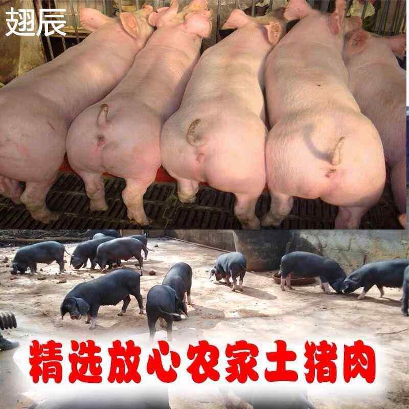 四川古蔺特产年货农家柏树枝烟熏腊肉五花肉腊味自制柴火腊肠,淘宝优惠券,粉丝福利购,淘宝优惠卷