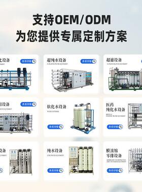 工厂销加20吨双级反超渗透直设备EDI纯水机器加718输送系统专业净