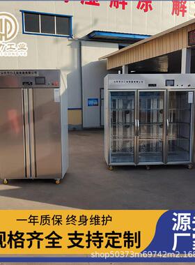 小型羊酮体解冻机全自动解冻设备商用低温高湿肉块解冻柜缓化机