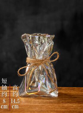 新款创意加厚玻璃瓶约透轻明水简培插花器小众客厅绿植摆花件高级