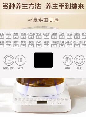 养生壶煮茶炉恒温壶多功能泡茶壶一体壶炖煮全玻璃专用养身办公室