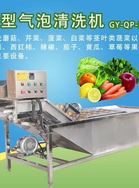 赣云蔬菜清洗机连续式洗菜机气泡清洗机多功能果蔬清洗机洗毛豆机