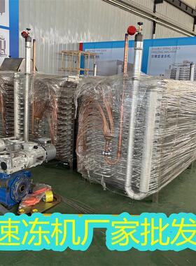 工业冻隧道设备 鲜果生产线 芒果速冻设备供求信息