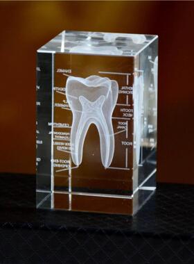 医学水晶3D内雕摆件水晶方体心脏肺部骨架牙齿大脑解剖模型立体图