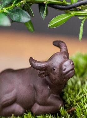 发财树办公客厅茶几玄关装饰招净化空气文竹陶瓷栽盆创意轻奢摆件