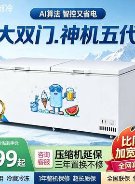 商用大容量冰柜全冷冻全冷藏冰柜家用两用冰箱双温卧式双门展示柜