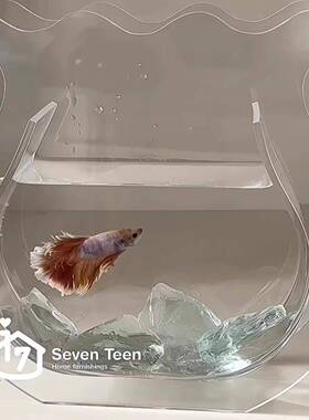 鱼缸花瓶摆件造景创意客厅餐桌桌面装饰生活仪式感ins高级感小众