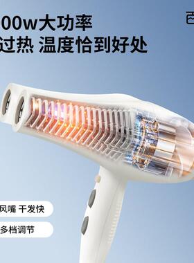 双头吹风机速干4000W大功率负离子护发造型商用吹风机 理髲店推荐