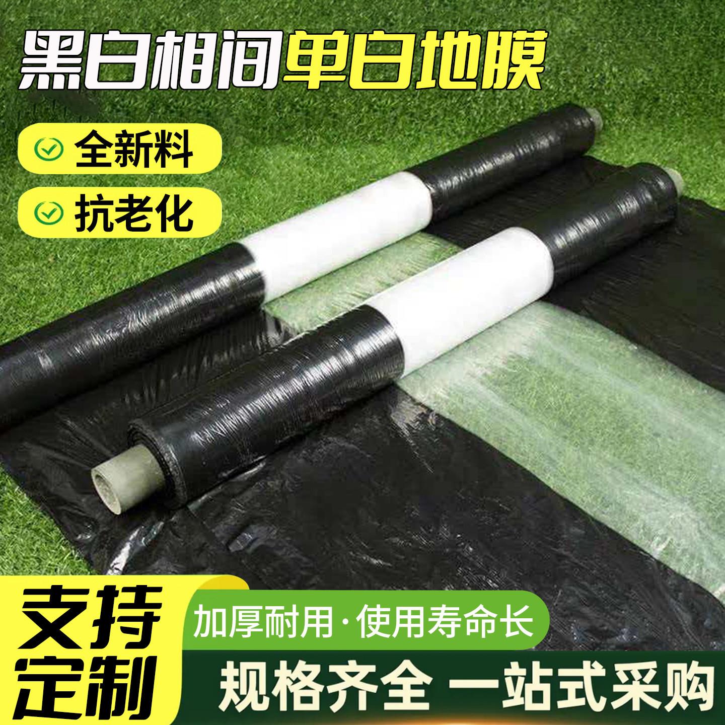 Agricultural black and white PE mulch film, agricultural film, thermal insulation, anti-aging, greenhouse film, planting film, factory direct sales and customization