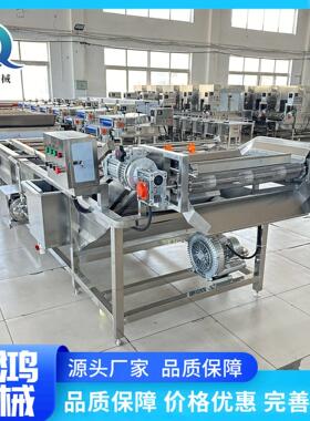 自动化土豆丝藕片气泡清洗机 蔬菜清洗加工流水线 袋装竹笋生产线