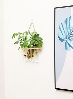 悬挂玻璃试管水培绿色植物花瓶墙面壁挂插花器家居办公室园艺花瓶