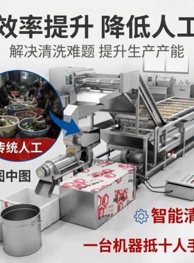 全螺自动小型苹果梨子楂去核山榨汁机小型商用旋果汁压榨机