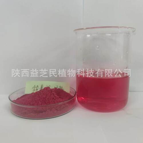 甜菜根汁粉 甜菜根提取物 现货 甜菜根粉 附三方检测 - 图1