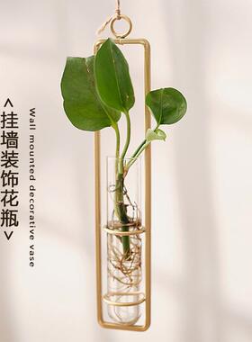 欧式装饰壁挂客厅创意玻璃花瓶绿萝植物挂墙式水养容器墙上装饰品