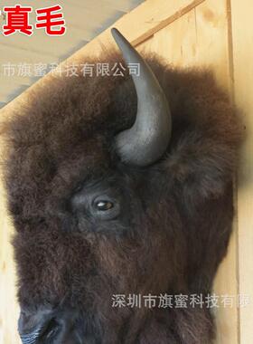 独立站爆品野牛头西部动物标本剥制术传统野牛工艺品摆件