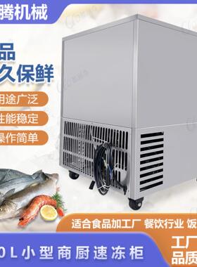 零下45三度工业级金枪鱼鱼急冻速冻80柜参肉海文食海鲜鲍鱼冷冻柜