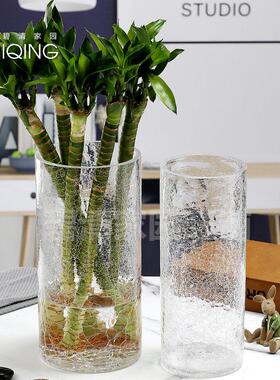 养竹子花瓶直筒冰花玻明富贵竹转运璃银柳大号40cm竹高碎冰简约居