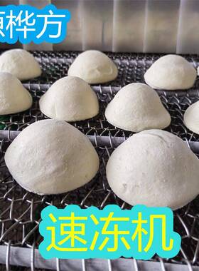 源桦方果蔬速冻机香菇肉包冷冻加工设备海鲜冷冻机